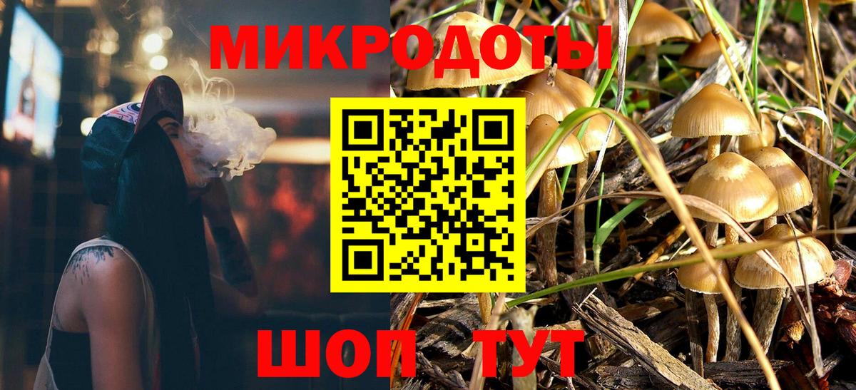 Удомля  Псилоцибиновые грибы MAGIC MUSHROOMS  Вход с VPN  Галлюциногенные грибы мухоморы 